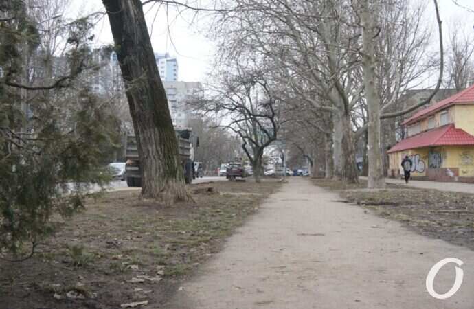 Варненская, дорога