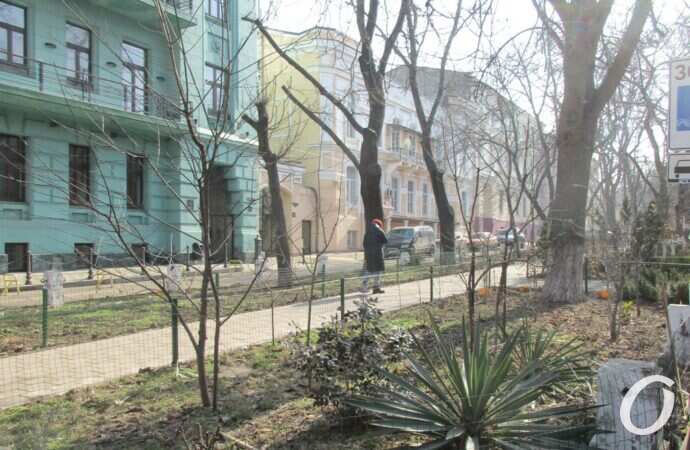 Одесский сквер, растения