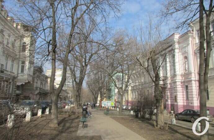 Одесский сквер, аллея