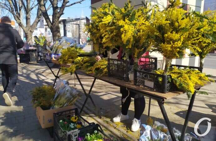 8 марта в Одессе, цветы, мимоза