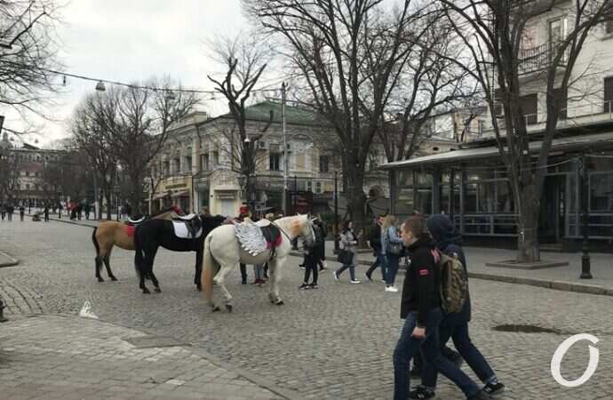 красная зона в Одессе, Дерибасовская6