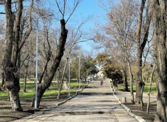 В Одессе благоустроят Дюковский парк: что обещают сделать к лету (видео)