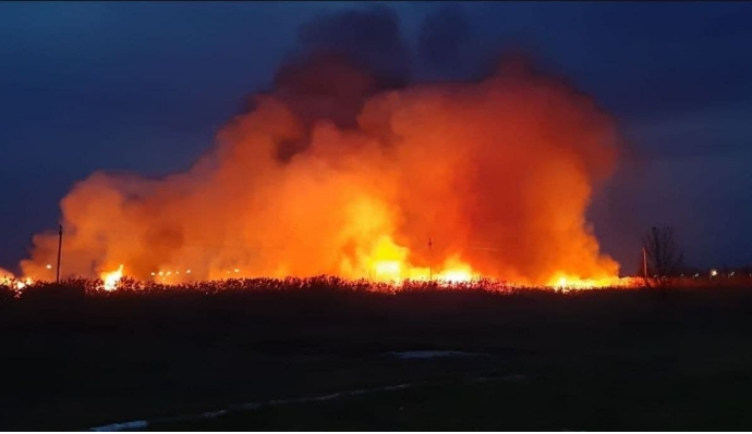 Спасатели предупредили о чрезвычайной пожарной опасности в Одесской области