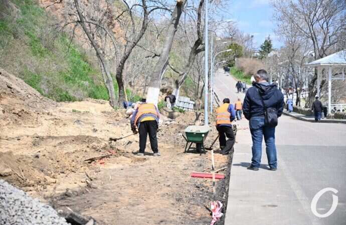 Стройка у Трассы здоровья, дорога
