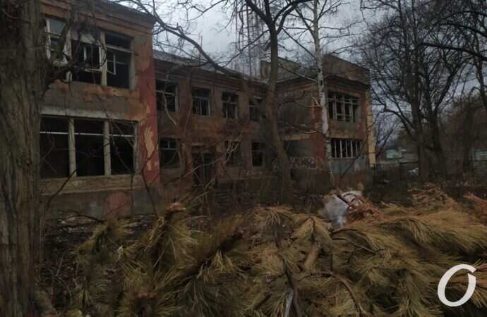 детсад на Сегедской, заброшка