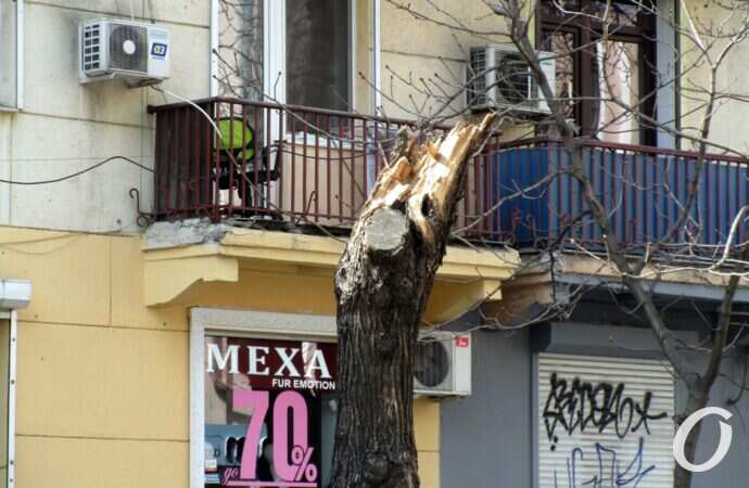 Екатерининская, бывшее дерево