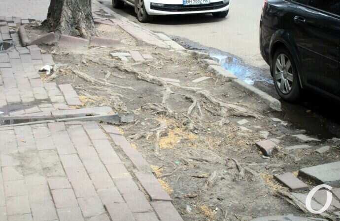 Екатерининская, дерево и плитка