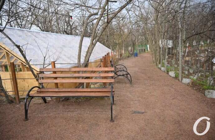 Зеленый театр, скамейка