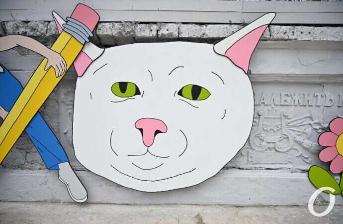 Зеленый театр, кот