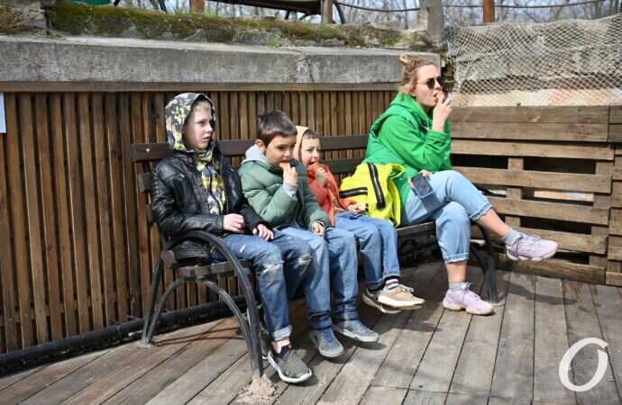 Зеленый театр, открытие сезона13