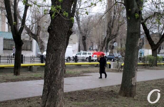 Алексеевский сквер, дорожка