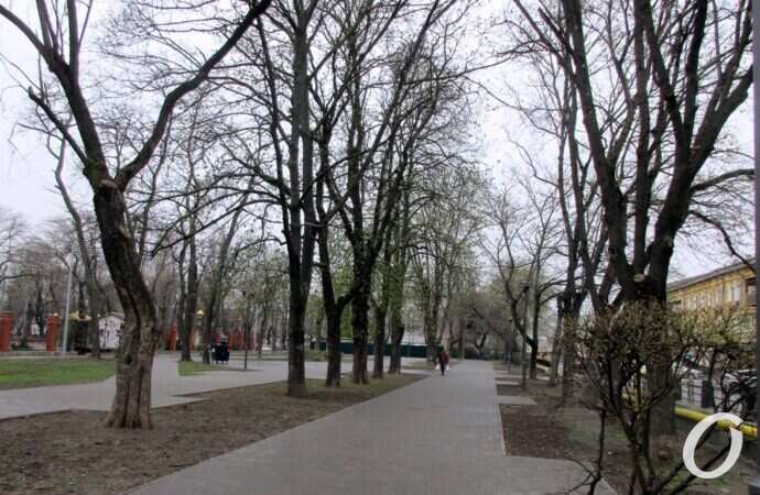 Алексеевский сквер, дорожка2