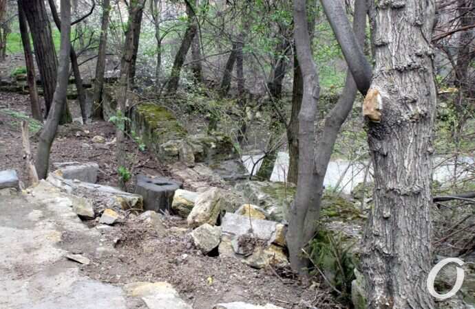 склоны под бульваром Жванецкого14