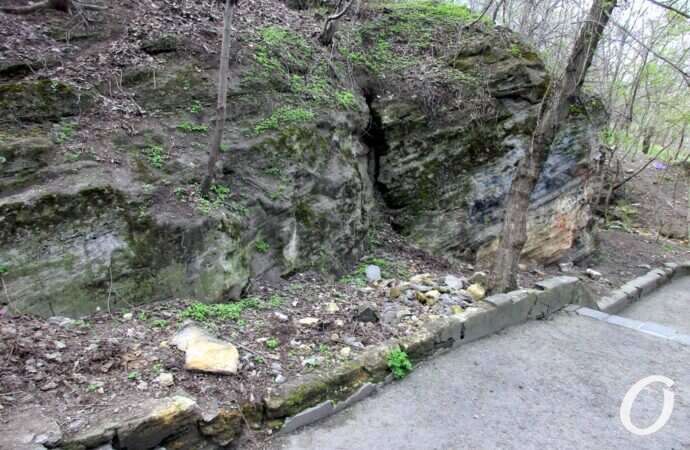 склоны под бульваром Жванецкого15