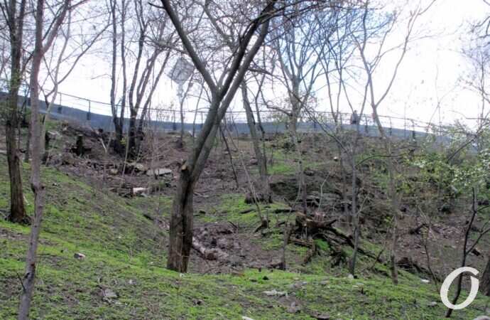 склоны под бульваром Жванецкого22