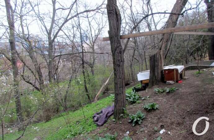 склоны под бульваром Жванецкого25