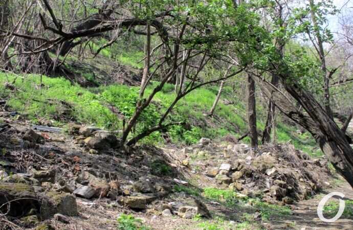 склоны под бульваром Жванецкого26