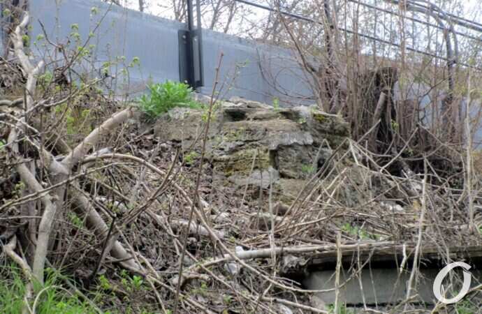 склоны под бульваром Жванецкого9