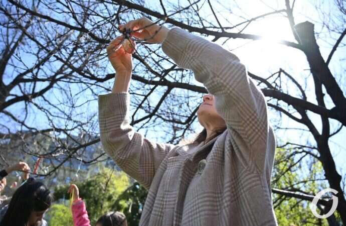 Пасхальное дерево, украшение4