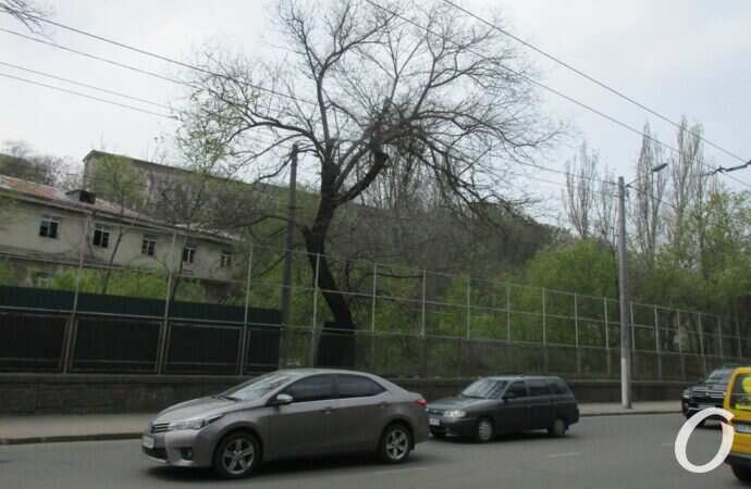 стройка на Приморской5