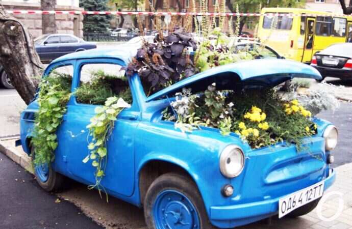 Луиджи в цветах