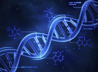 Этот день в истории: открытие молекулярной структуры ДНК