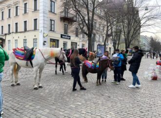В Одессе на Дерибасовской оштрафовали эксплуататоров коней (фото)
