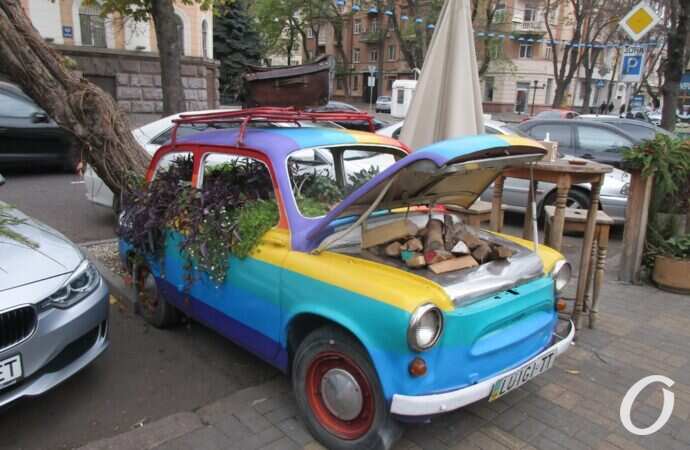 Луиджи, дрова