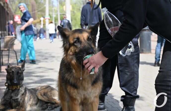 Куликово поле, 2 мая 2021 г. 22