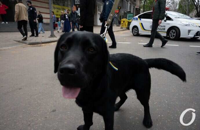 марш защитников Одессы13