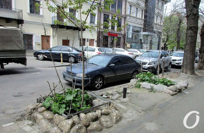 Одесский Красный переулок: сегодняшний день двух исторических кварталов (фото)
