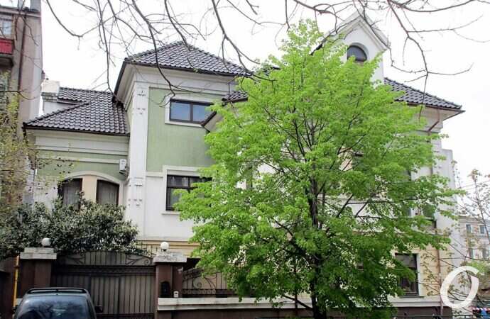 Красный переулок, зеленое дерево