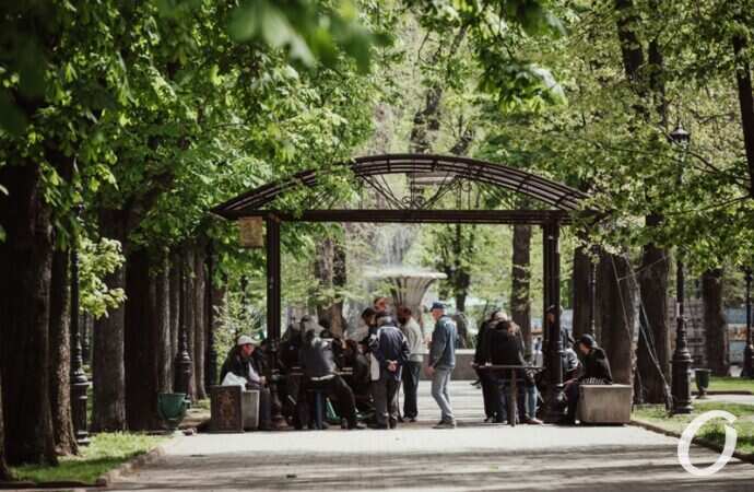 май в центре Одессы, беседка