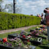 Сотни одесситов возложили цветы на Аллее Славы – фоторепортаж