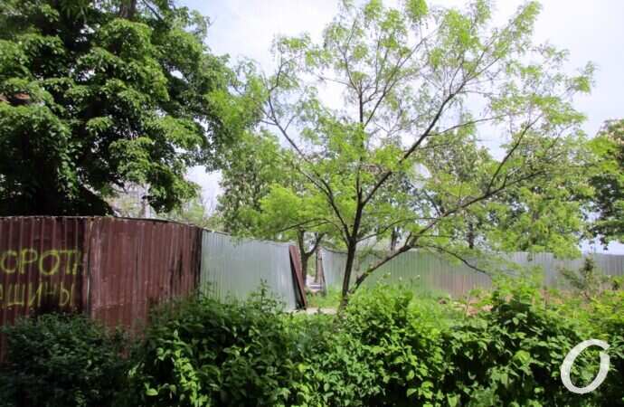 ремонт бульвара Жванецкого3