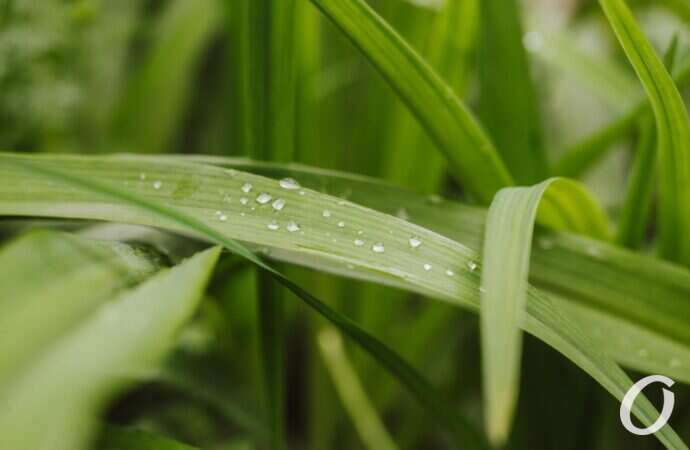 Одесса после дождя12