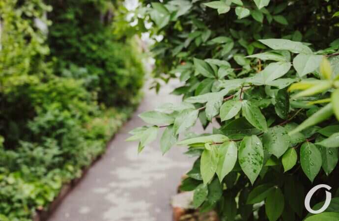 Одесса после дождя9