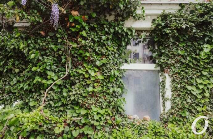 Одесса после дождя7