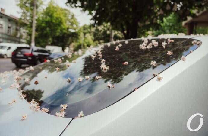 Одесса после дождя22