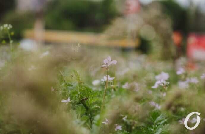 Одесса после дождя19