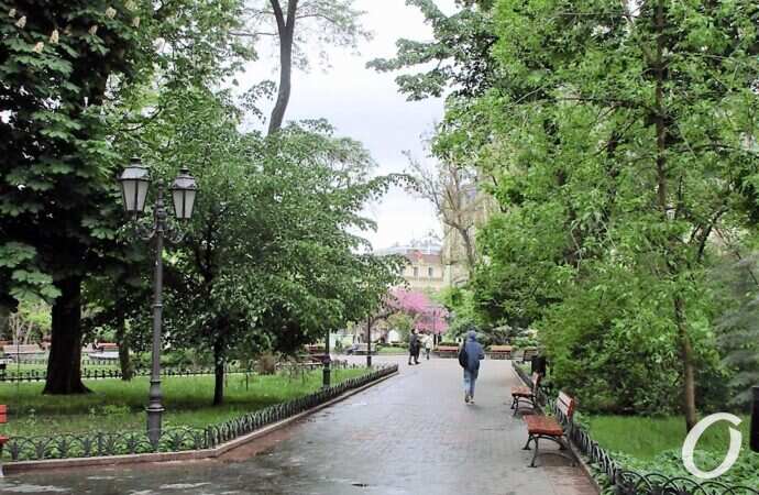 Горсад в мае, после дождя2