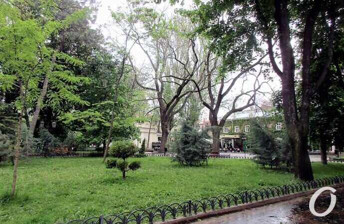 Горсад в мае, зелень