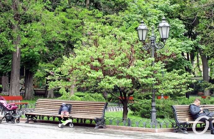 Горсад в мае, скамейки