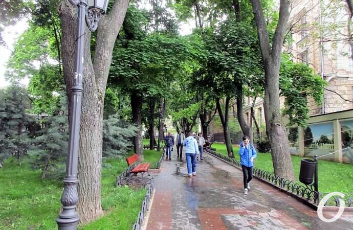 Горсад в мае, дорожка