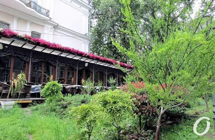 Горсад в мае, кафе4