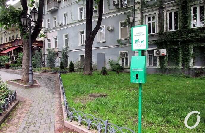 Горсад в мае, дорожка2