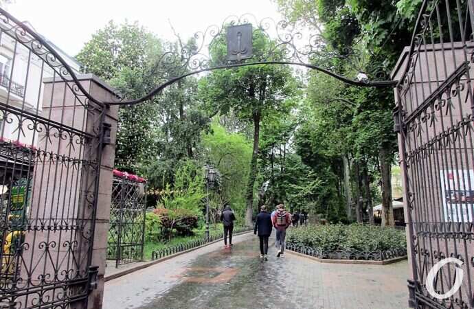 Горсад в мае, после дождя3