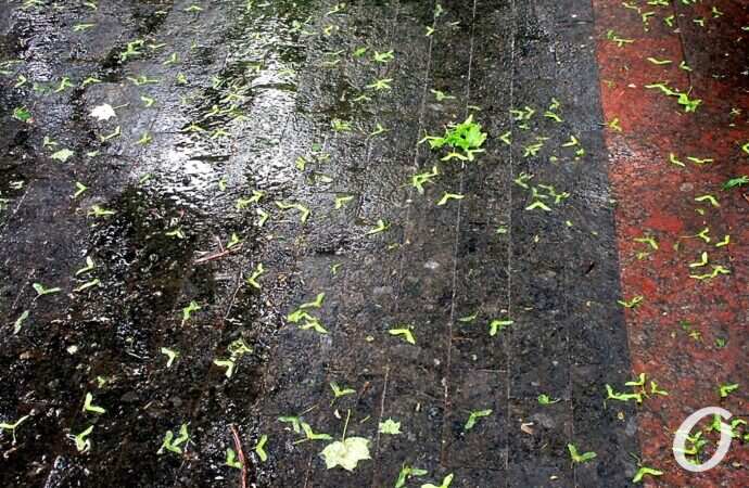 Горсад в мае, асфальт