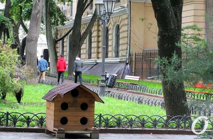 Горсад в мае, кошачий домик