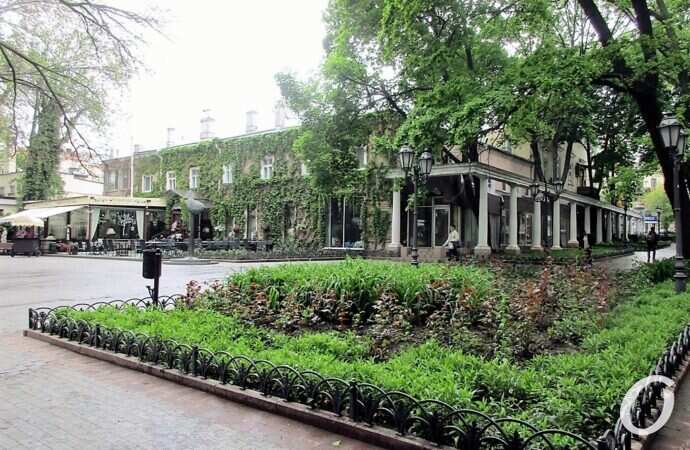 Горсад в мае, клумба